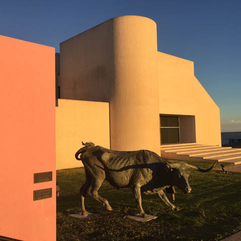Art Museum of South Texas