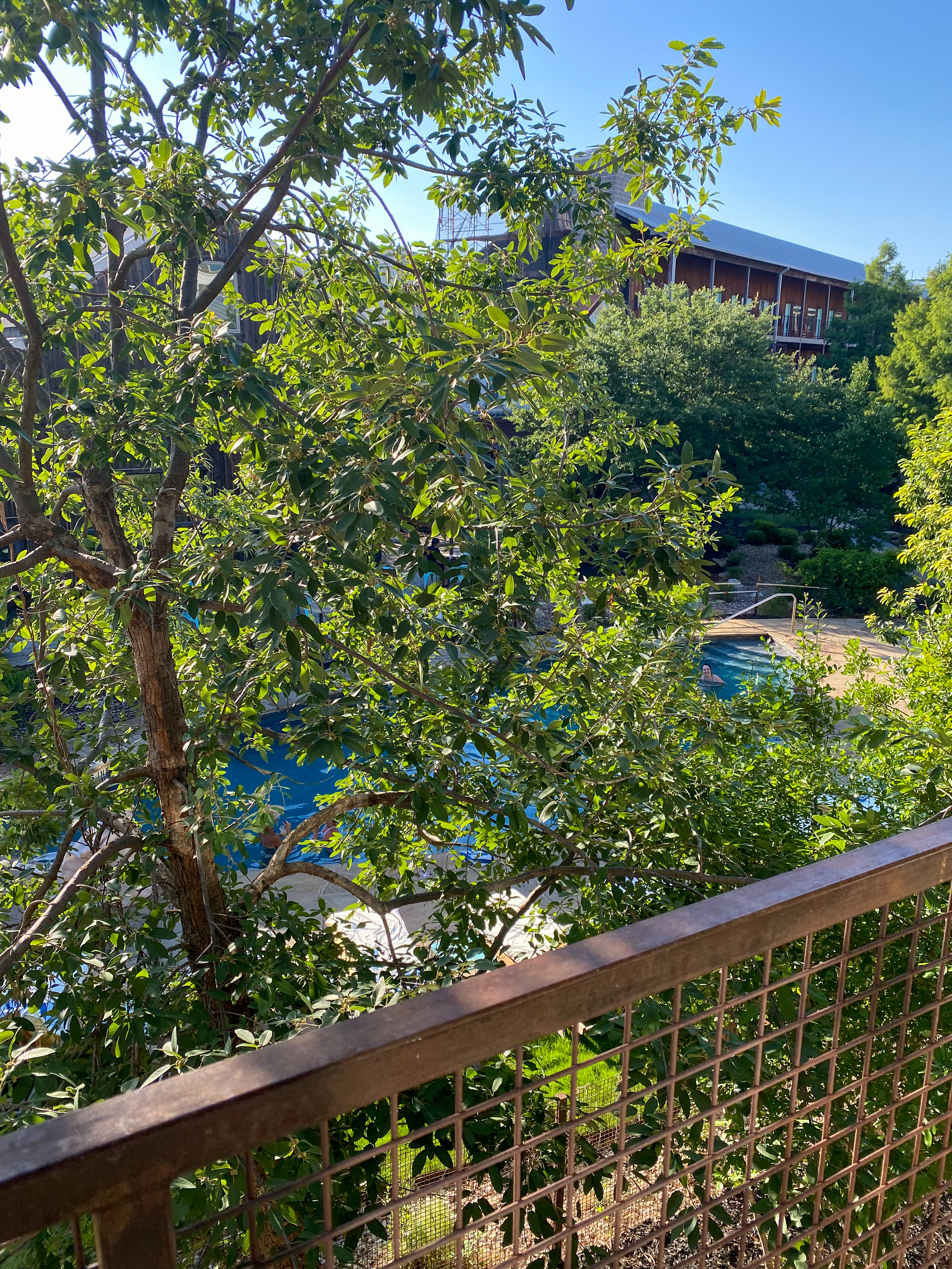 Lone Star Court | Austin