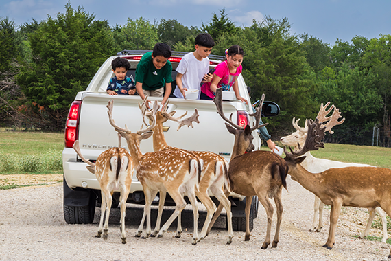 Texas Zoofari Park
