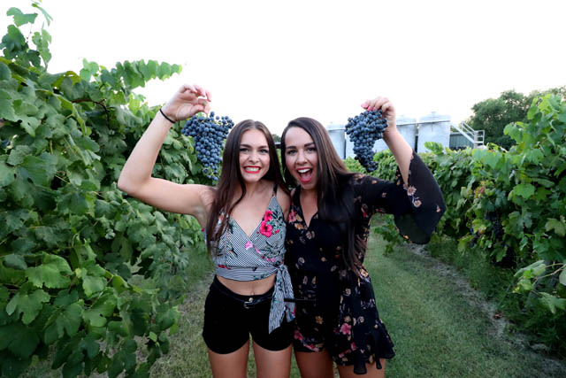 Messina Hof Winery