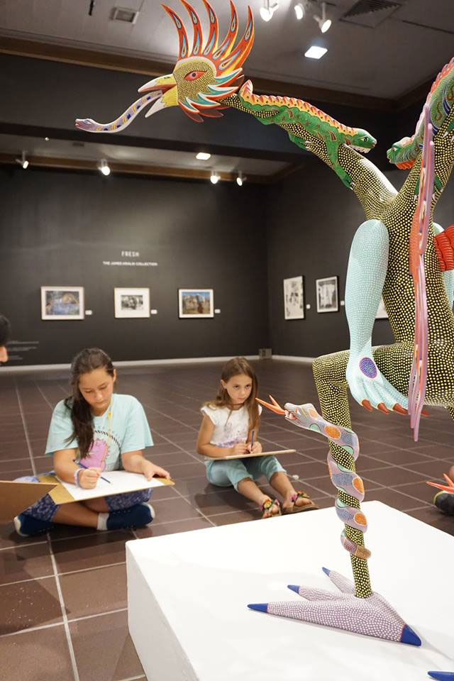Art Museum of Southeast Texas (AMSET)