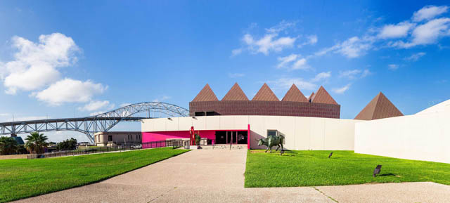 Art Museum of South Texas