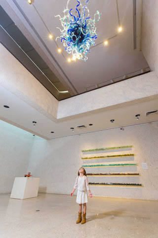 Art Museum of South Texas