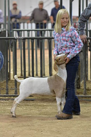 Kerr County Fair