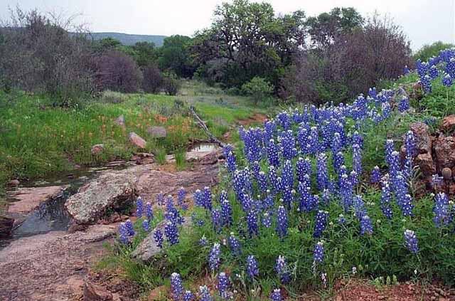 Kerrville, Texas