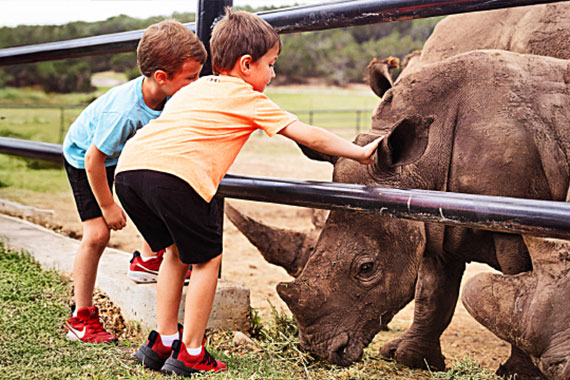 Natural Bridge Wildlife Ranch