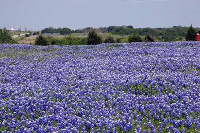 La Grange, Texas