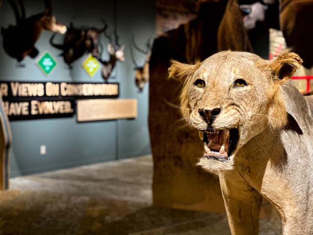 Red River Valley Museum