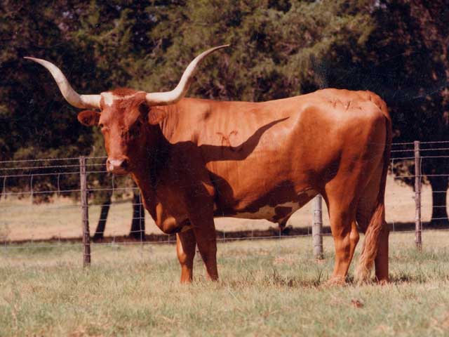 Austin County, Texas