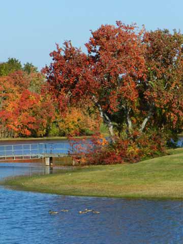 Madisonville, Texas