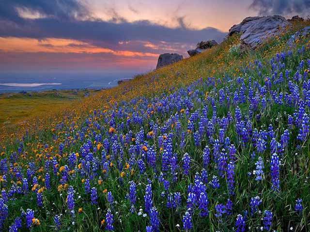 Marble Falls, Texas