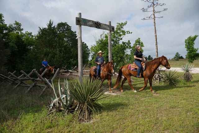 visit bastrop logo