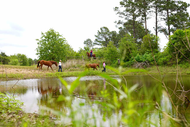 Bastrop