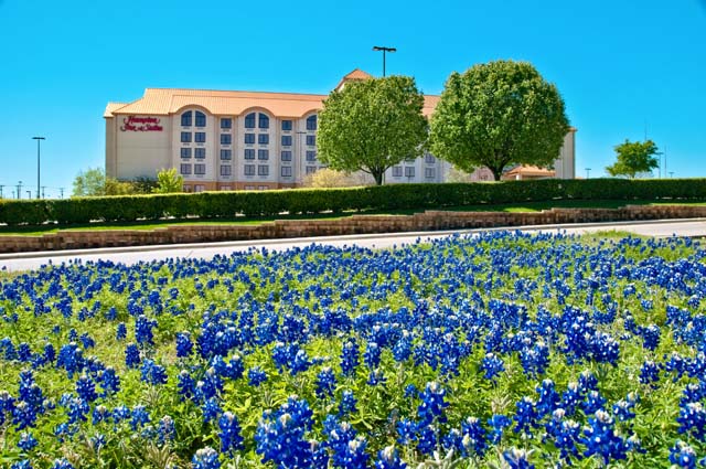 Visit Mesquite, Texas