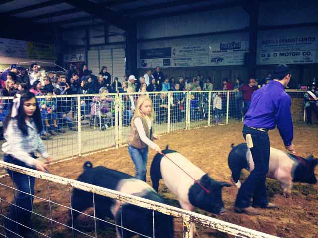 Mineral Wells, Texas