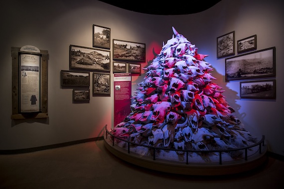 A tall pile of buffalo skulls lit in red and blue in the Buffalo Hide Trade gallery at Frontier Texas, surrounded by historical photographs of the hide trade.