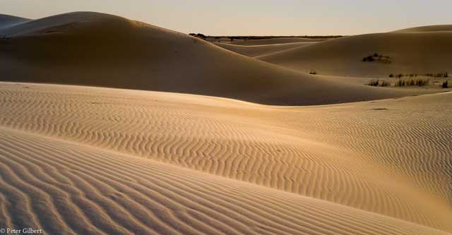 Odessa, Texas