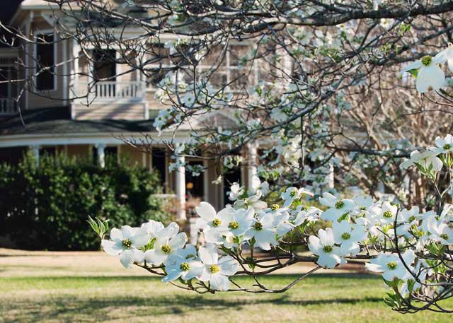 Palestine, Texas