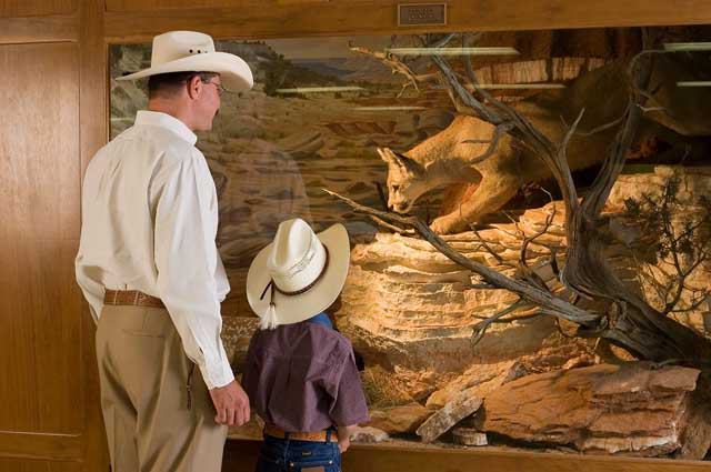 Panhandle-Plains Historical Museum
