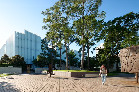 Museum of Fine Arts, Houston
