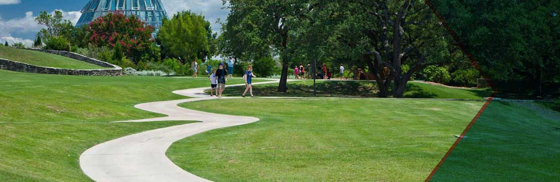 San Antonio Botanical Garden Hours And Admission Prices Tour Texas