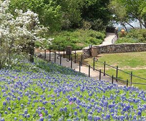 San Antonio Botanical Garden