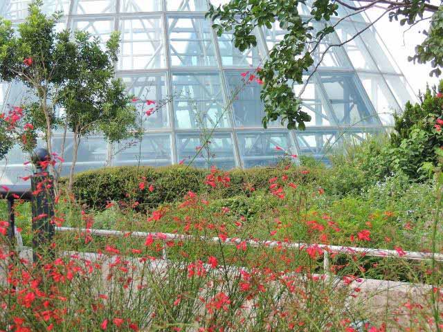 San Antonio Botanical Garden Hours And Admission Prices Tour Texas