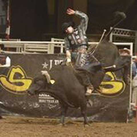 San Antonio Stock Show & Rodeo - FEBRUARY