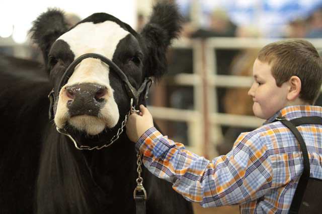 San Antonio Stock Show & Rodeo - FEBRUARY