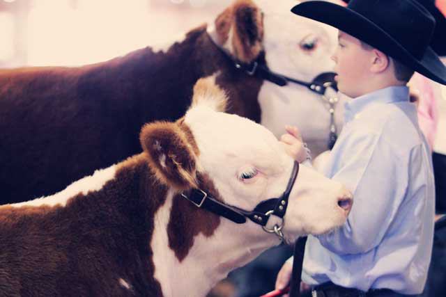 San Antonio Stock Show & Rodeo - FEBRUARY