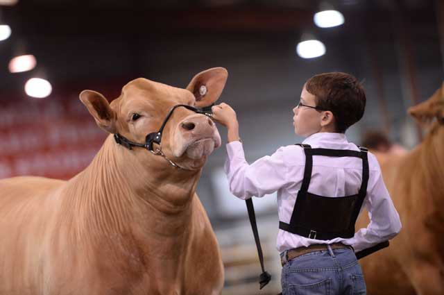 San Antonio Stock Show & Rodeo - FEBRUARY