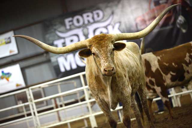 San Antonio Stock Show & Rodeo - FEBRUARY