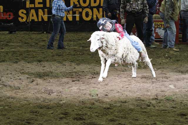 San Antonio Stock Show & Rodeo - FEBRUARY