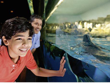 SeaWorld® San Antonio