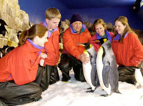 SeaWorld® San Antonio