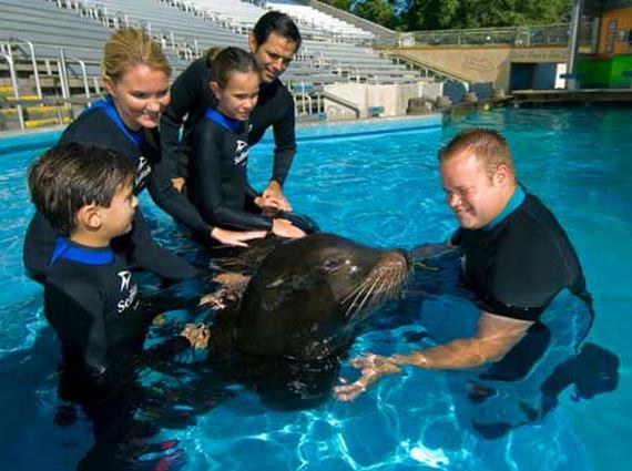 SeaWorld® San Antonio