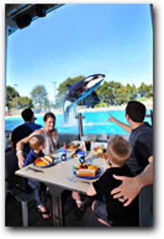 SeaWorld® San Antonio