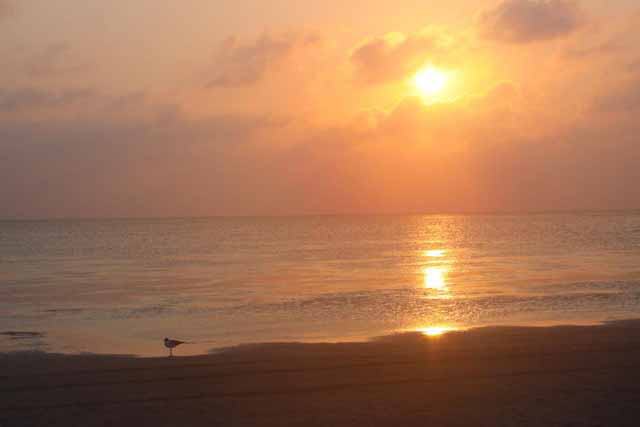 South Padre Island, Texas