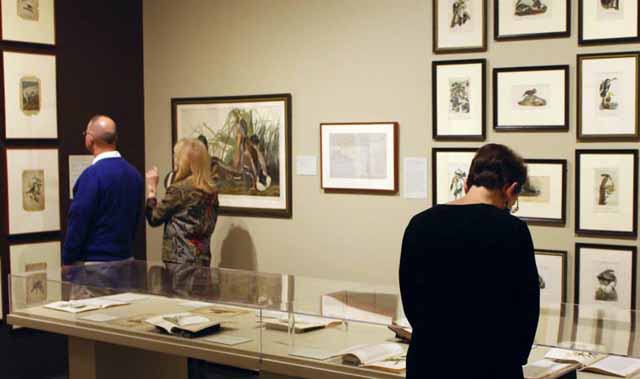 Stark Museum of Art