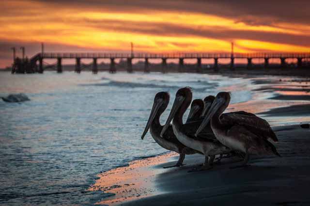 Surfside Beach, Texas 