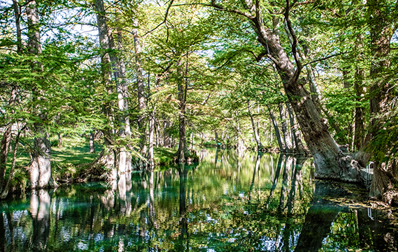 Wimberley