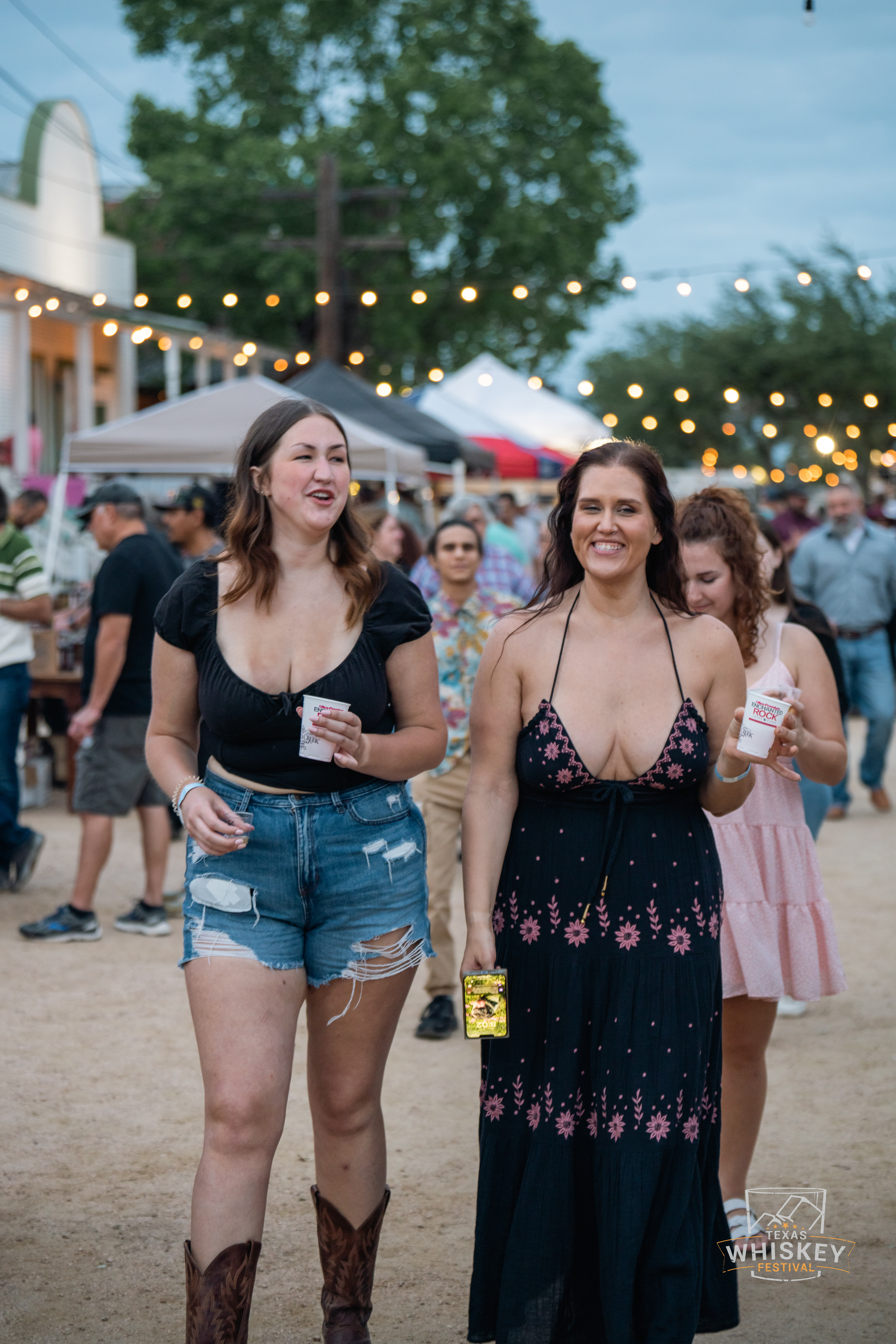 Texas Whiskey Festival