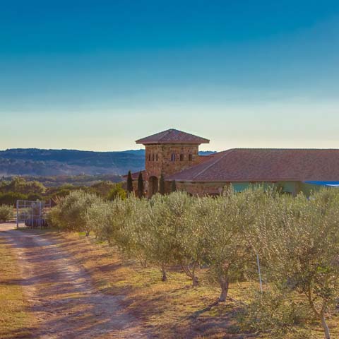 Texas Hill Country Olive Co.