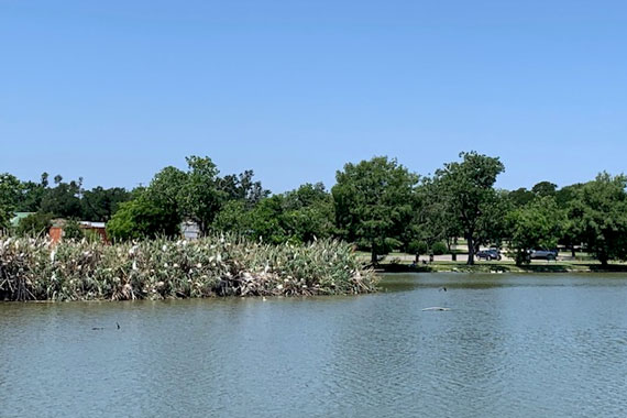 Taylor, Texas
