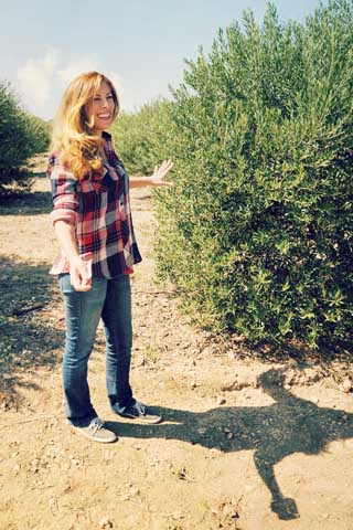 Texas Hill Country Olive Co.