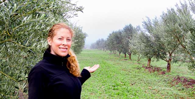 Texas Hill Country Olive Co.
