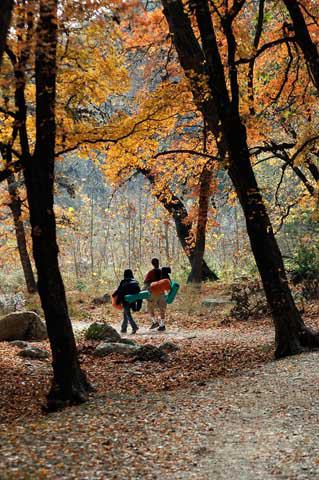 Texas State Parks