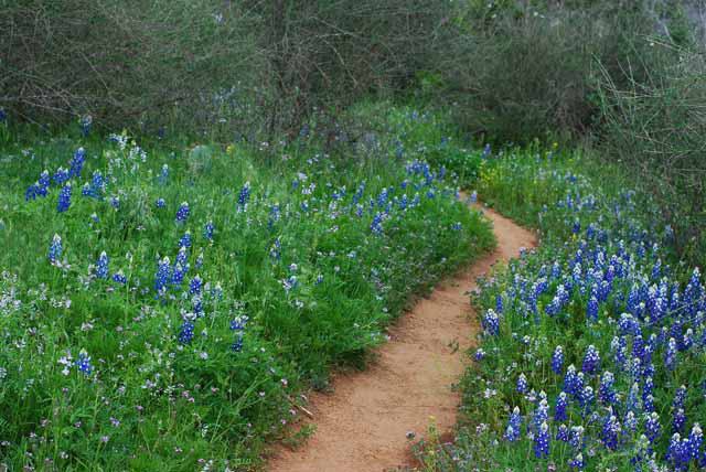 Texas State Parks
