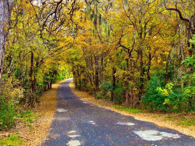 Texas State Parks