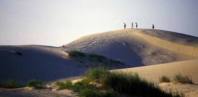 Texas Pecos Trail Region